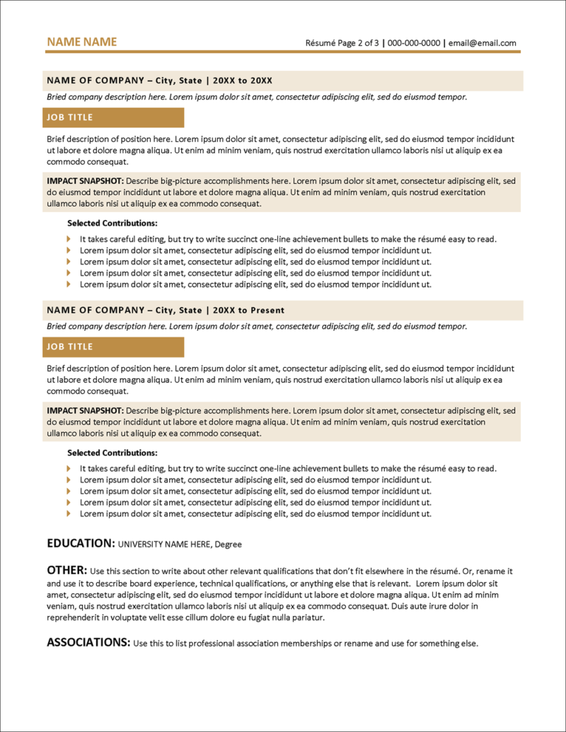 Resume Templates For Microsoft Word Distinctive Resume Templates 