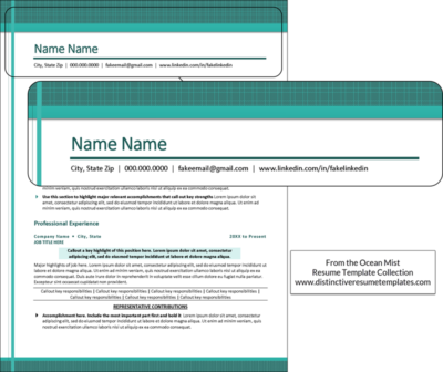 Creating Resume Headers: 20+ Example Headers, Templates & Video Tutorial