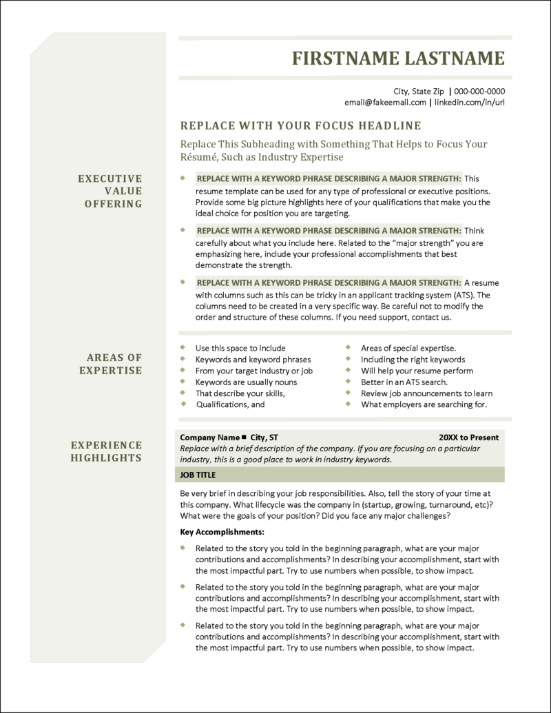 Board Of Director Resume Templates - Distinctive Resume Templates