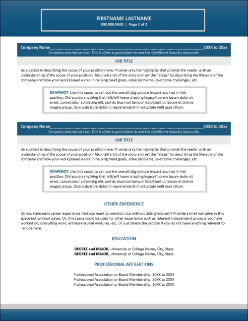 Sophisticated Executive Resume Template for MS Word