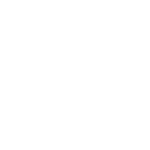 AI focused career approach