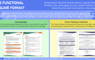 Example Functional Resume Templates for Career Gaps