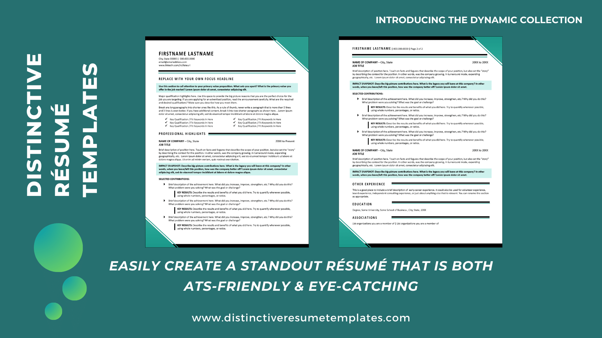 Dynamic Resume Format for Professionals | Distinctive Templates