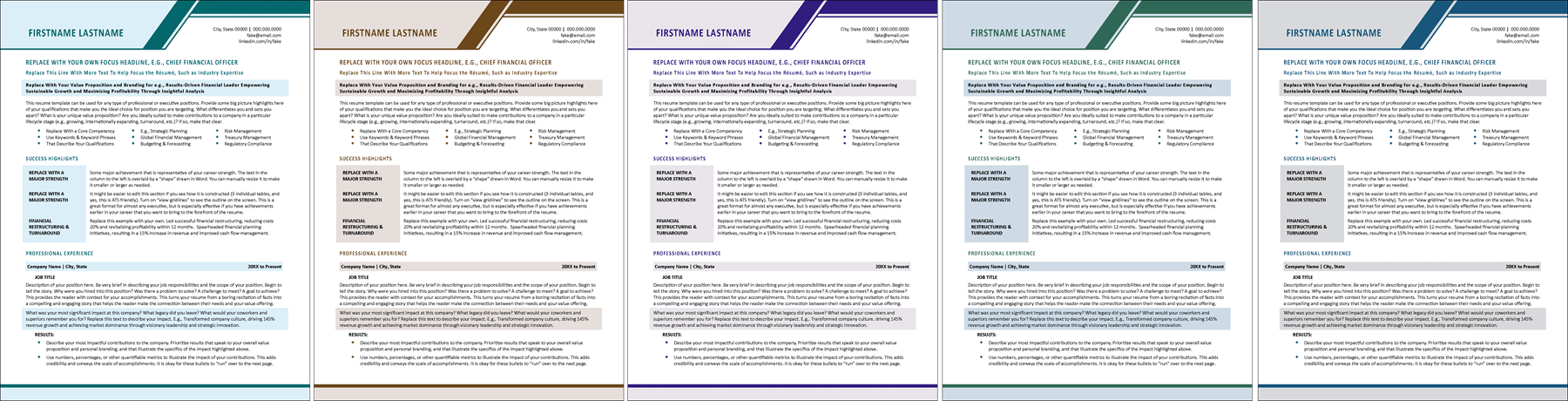 Elevated Exec Resume Color Choices