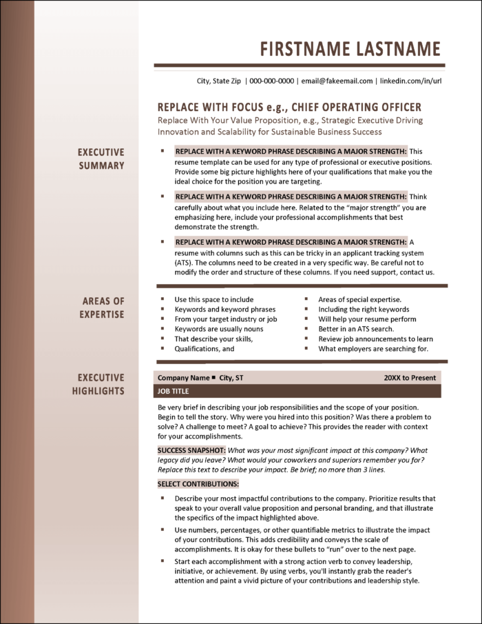 Standout Executive Resume Page 1