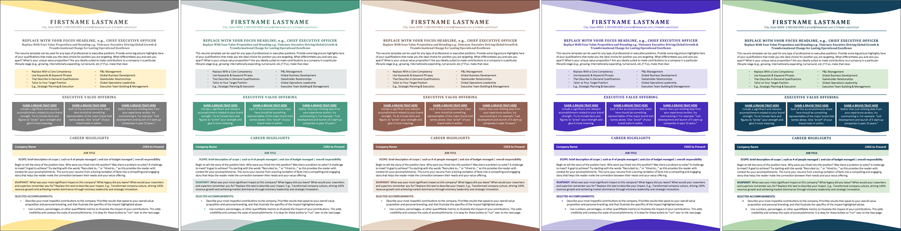 Executive Style Resume Color Choices