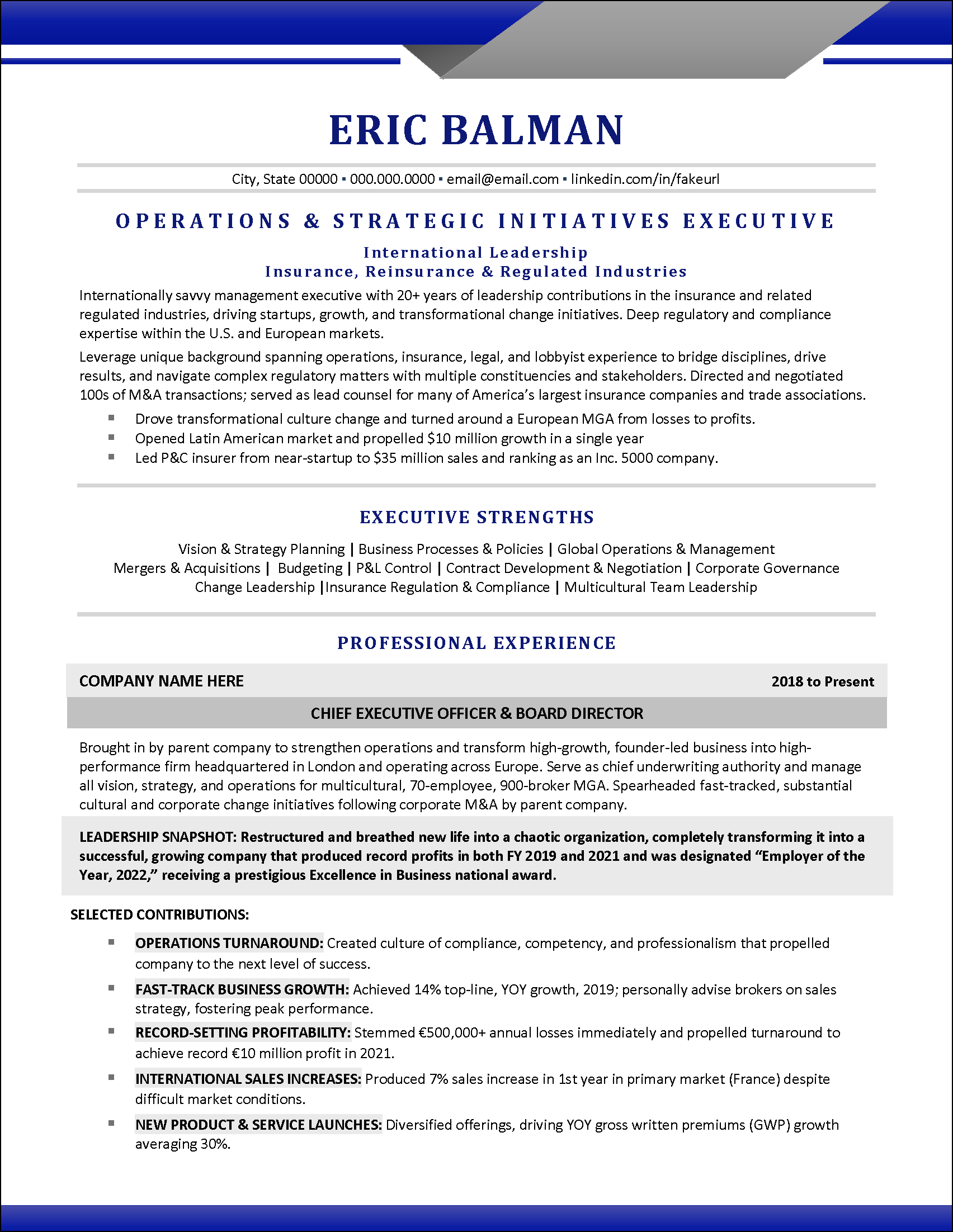 Executive Resume Example After Template Applied