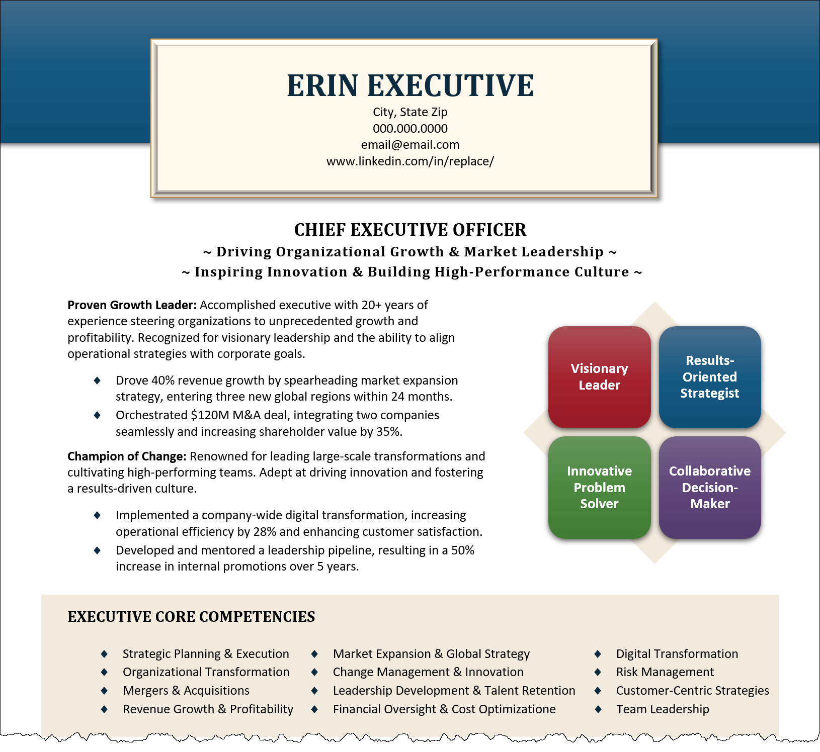 Executive Resume Professional Summary Example