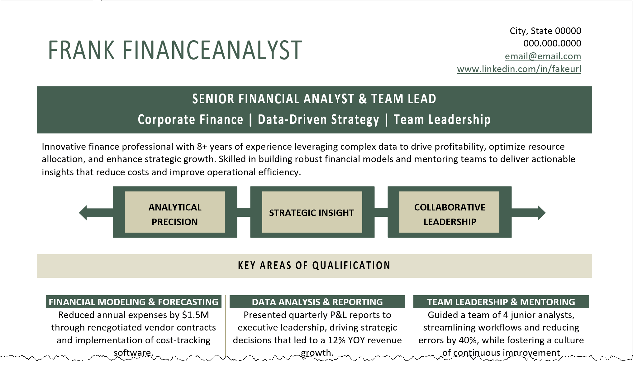 Resume Summary Example for Finance Analyst